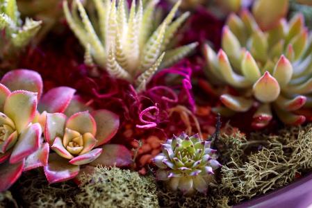 ǰ11¹ҵҵʵ57445Ԫ ͬ2.4%